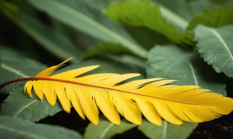 The Profound Symbolism Of Yellow Feathers: Unveiling Their Spiritual Meanings